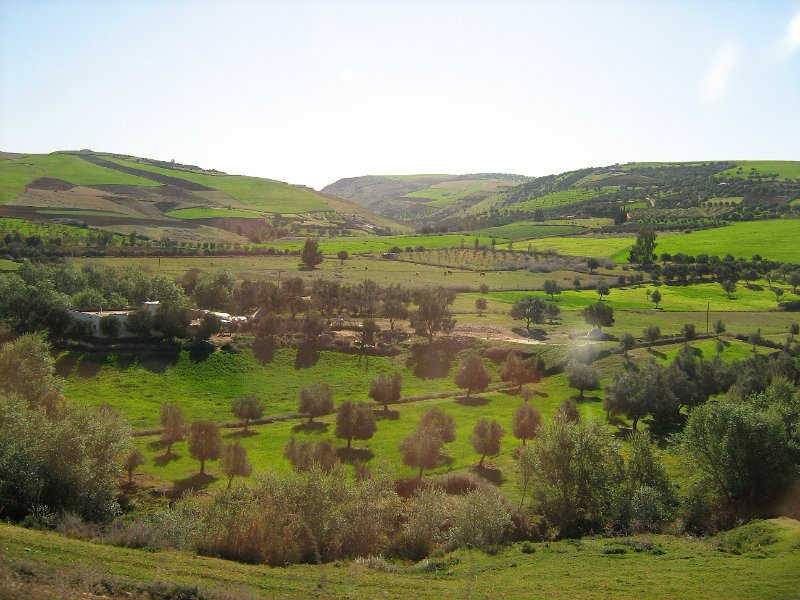 130312_landschap marokko.jpg - We zijn op weg naar Moulay Idriss, de romeinse stad Volubilis en uiteindelijk Meknes.